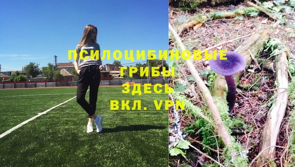 синтетический гашиш Пролетарск